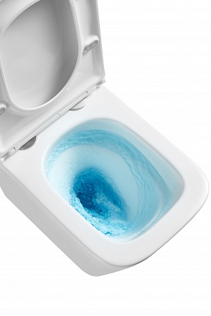 Подвесной унитаз безободковый Terminus Ватикан Монолит 490х340 белый Зеленогорск - фото 8