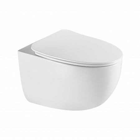 Подвесной унитаз безободковый Terminus Енисей Монолит 560х390 белый Зеленогорск - фото 2