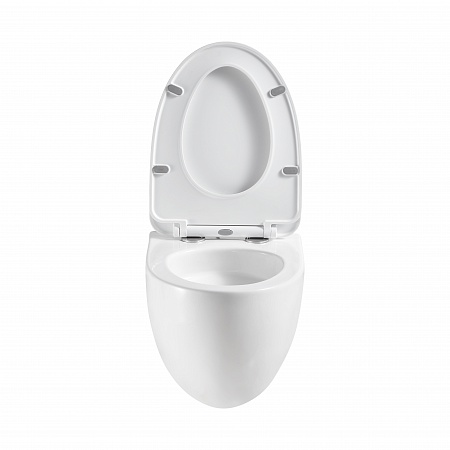 Подвесной унитаз безободковый Terminus Енисей Монолит 560х390 белый Зеленогорск - фото 5